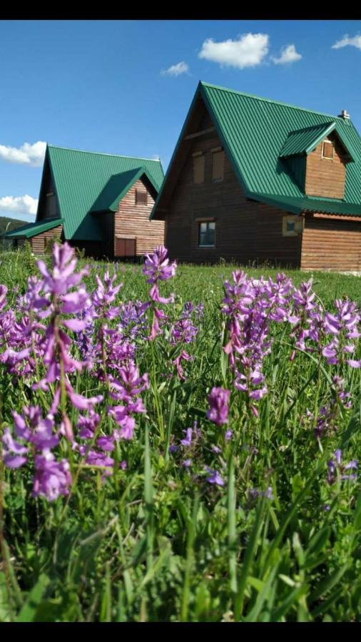 Žabljak Mountain Soul Restヴィラ エクステリア 写真