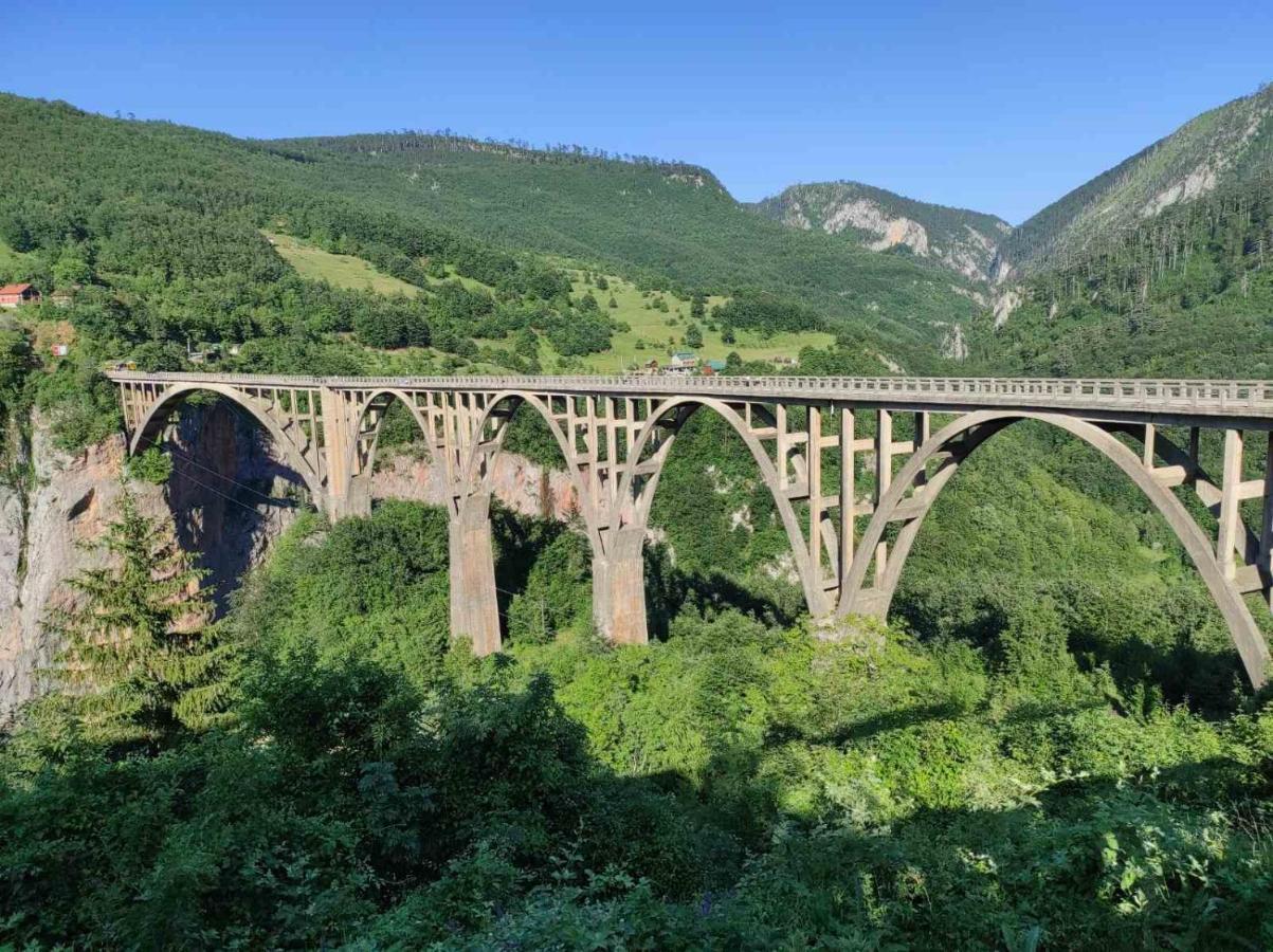 Žabljak Mountain Soul Restヴィラ エクステリア 写真
