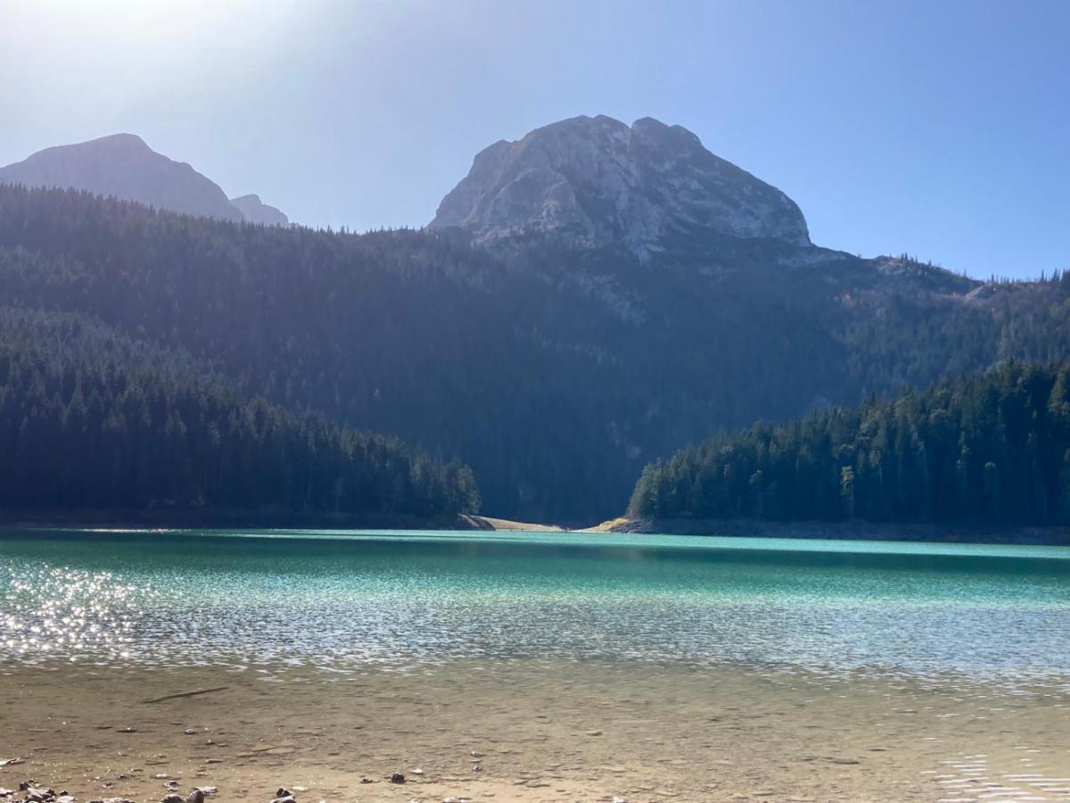 Žabljak Mountain Soul Restヴィラ エクステリア 写真