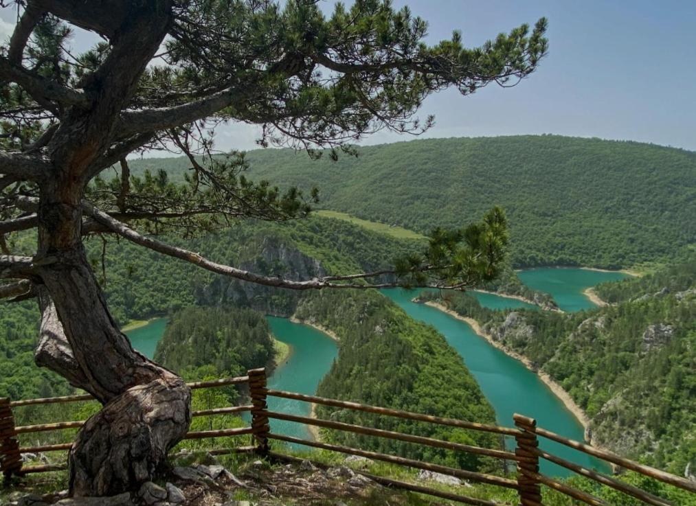 Žabljak Mountain Soul Restヴィラ エクステリア 写真