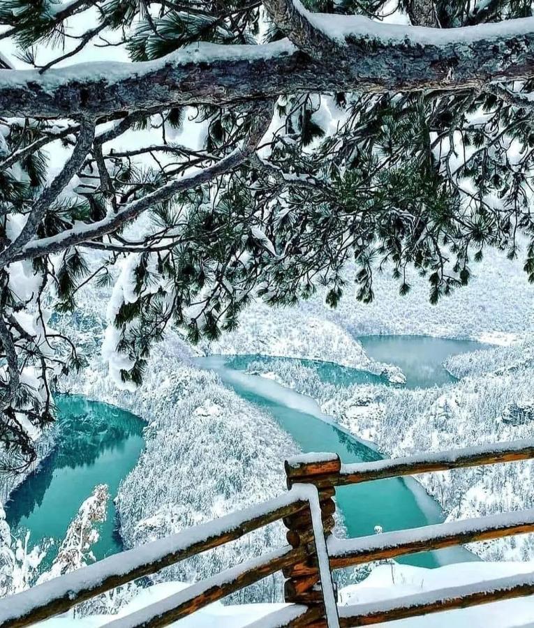 Žabljak Mountain Soul Restヴィラ エクステリア 写真