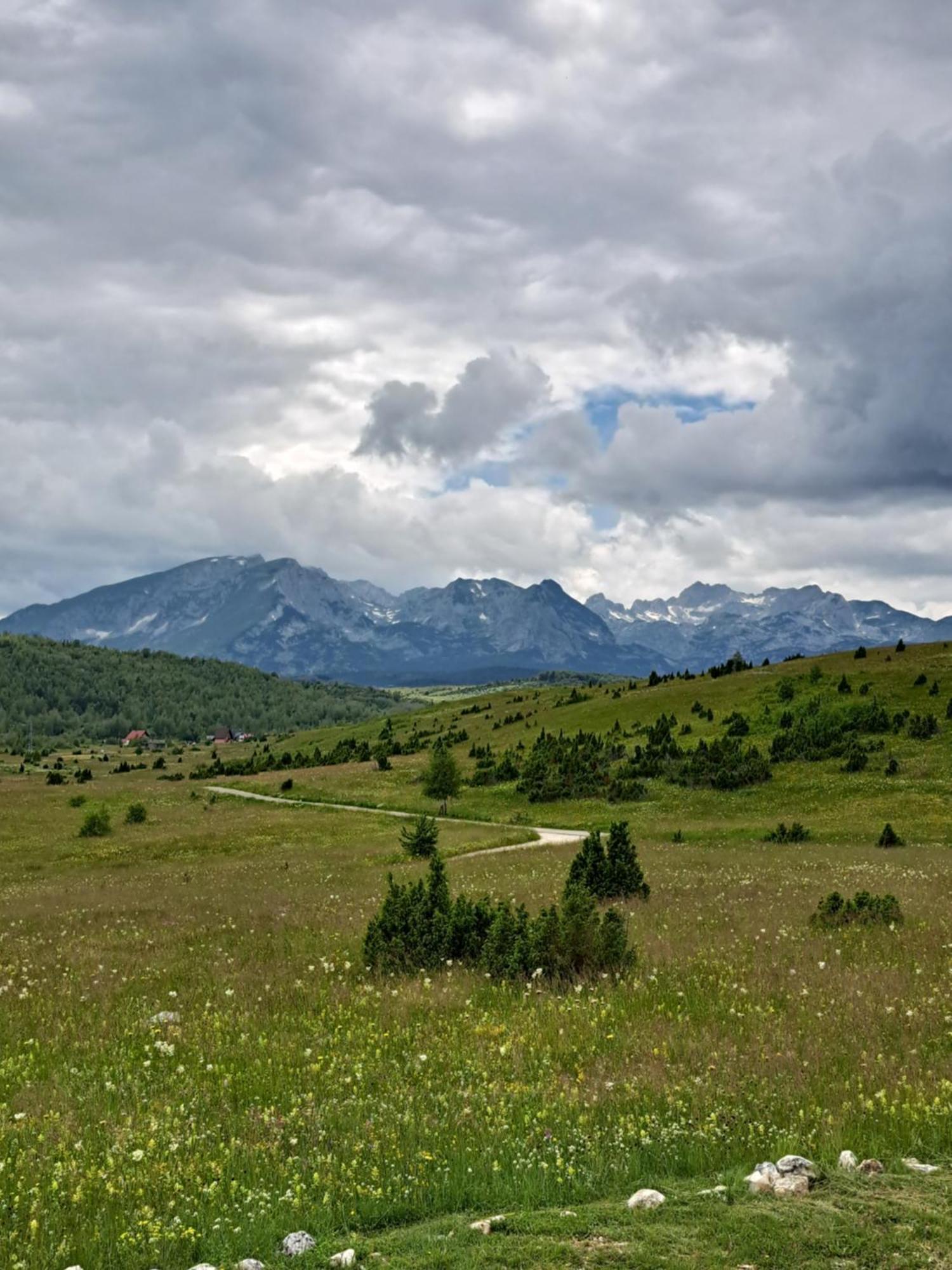 Žabljak Mountain Soul Restヴィラ エクステリア 写真